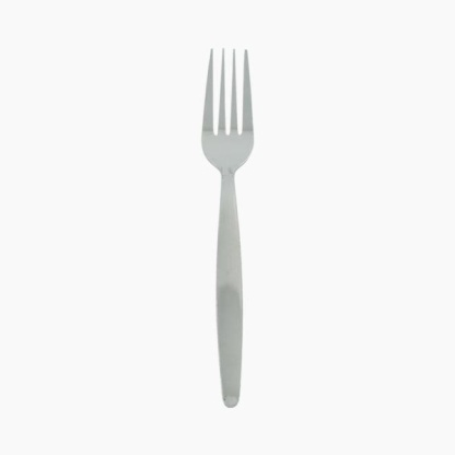 Stainless Steel Fork