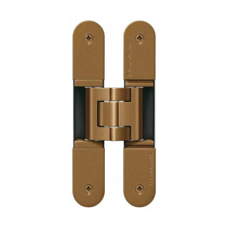 Tectus TE340 polished brass hinges