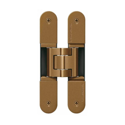 Tectus TE340 polished brass hinges
