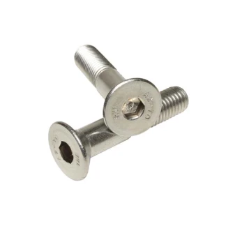M16 x 100 Csk Socket Screws BZ